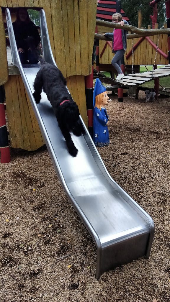 Publication : Des Plaines Du Valhalla