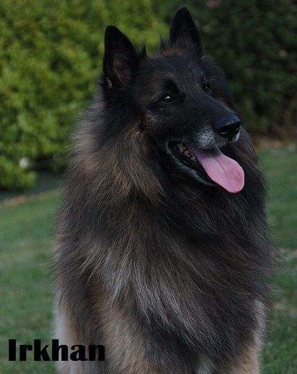 Publication : du Joli CouCou Auteur : Le Joli CouCou