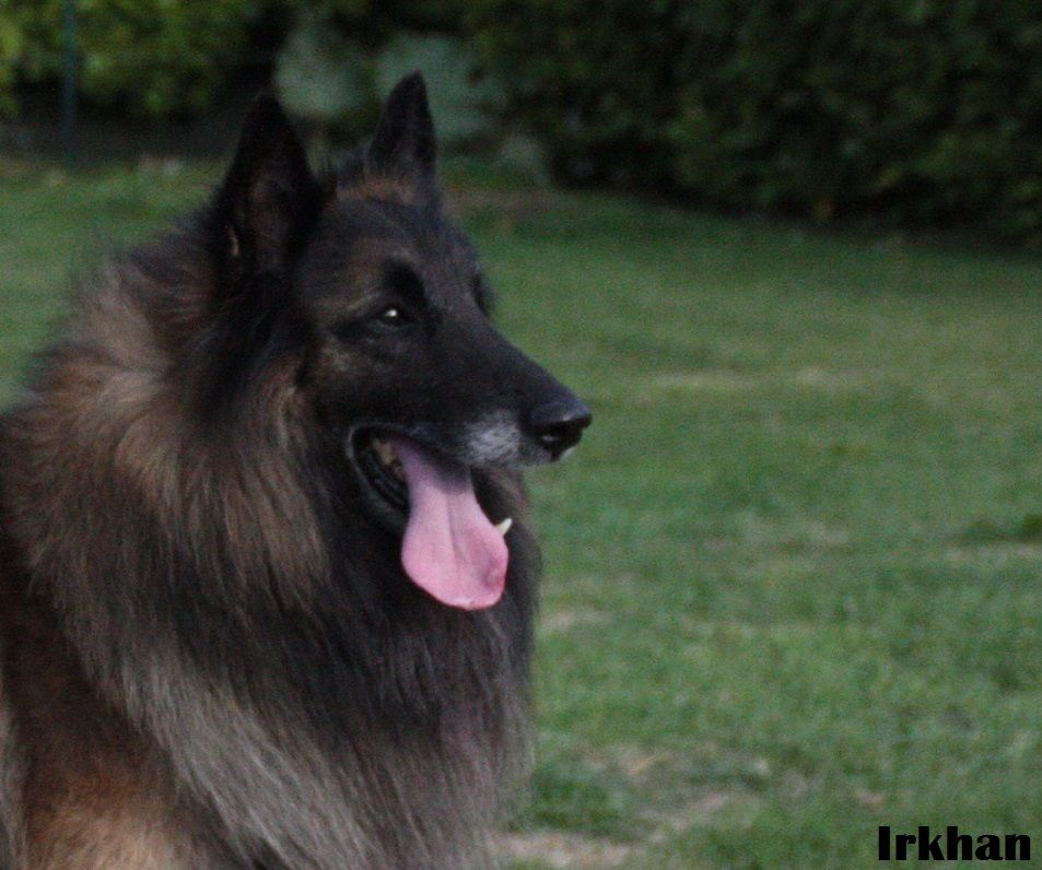 Publication : du Joli CouCou Auteur : Le Joli CouCou