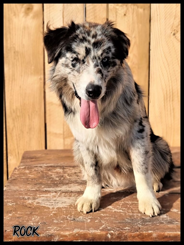 Publication : Du Domaine De La Canurie