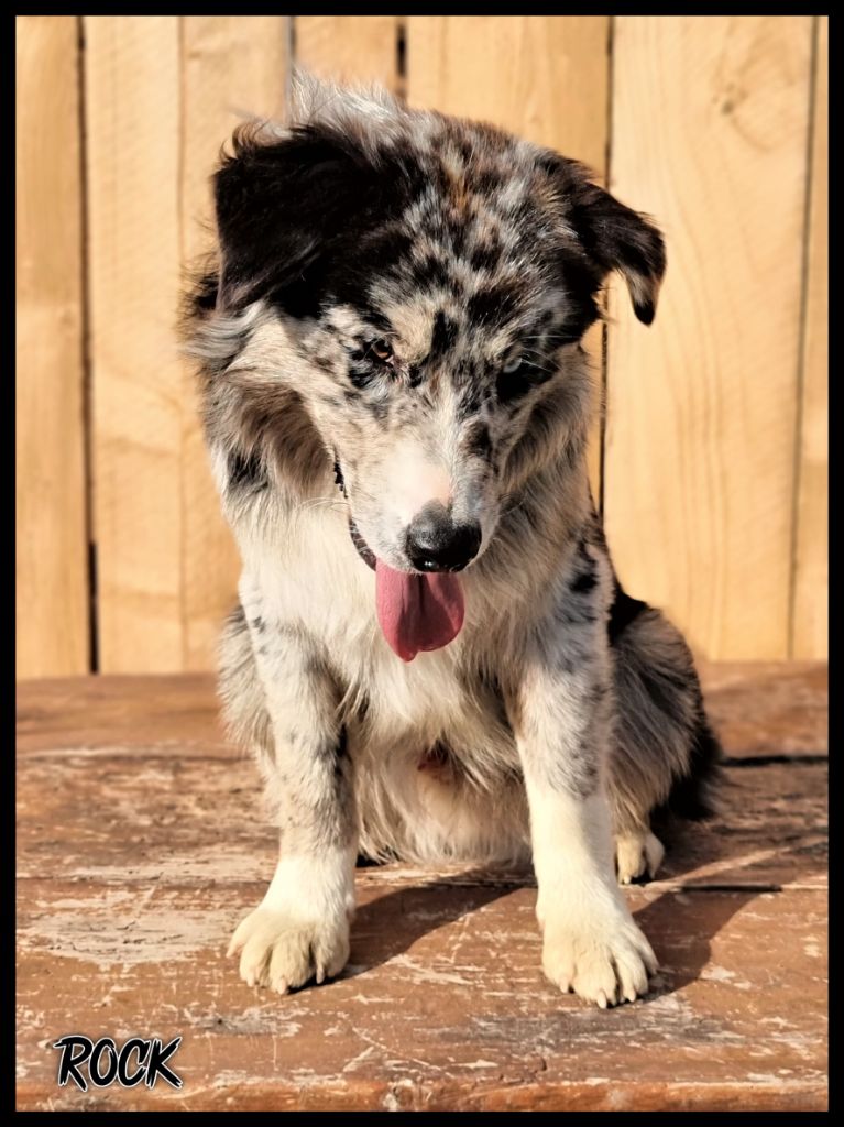 Publication : Du Domaine De La Canurie