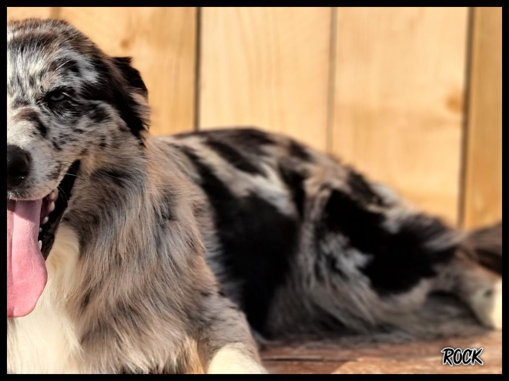 Publication : Du Domaine De La Canurie