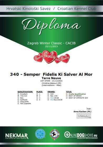 CH. Semper fidelis Ki Salver Al Mor - 2 ème Très Bon Classe Intermédiaire Mâle