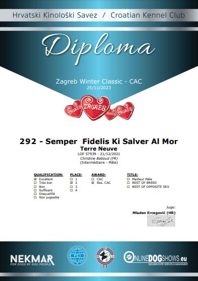 CH. Semper fidelis Ki Salver Al Mor - 2 ème EXCELLENT et R.C.A.C Classe intermédiaire Mâle