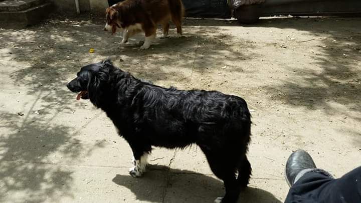 Publication : Du Sanctuaire De Mandarine