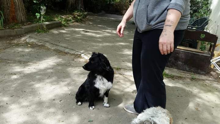 Publication : Du Sanctuaire De Mandarine