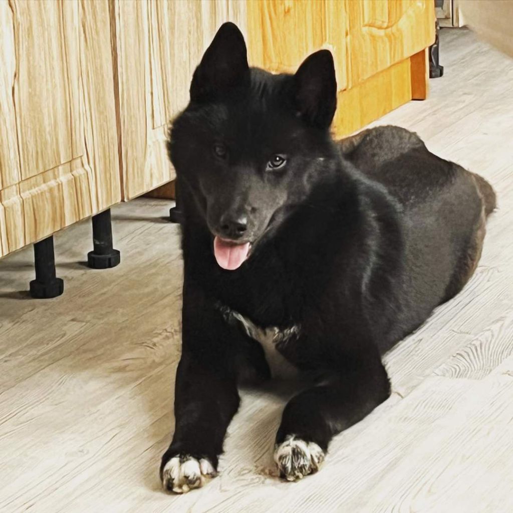 Publication : Of Legendary's Reborn