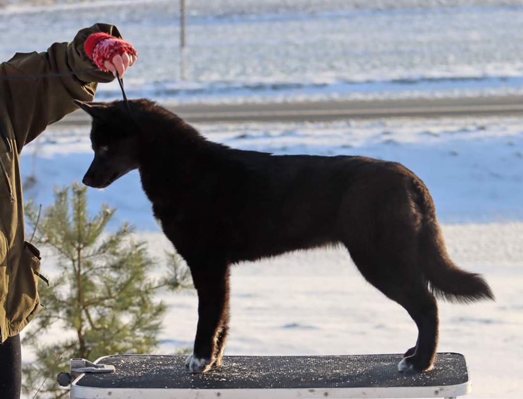 Publication : Of Legendary's Reborn