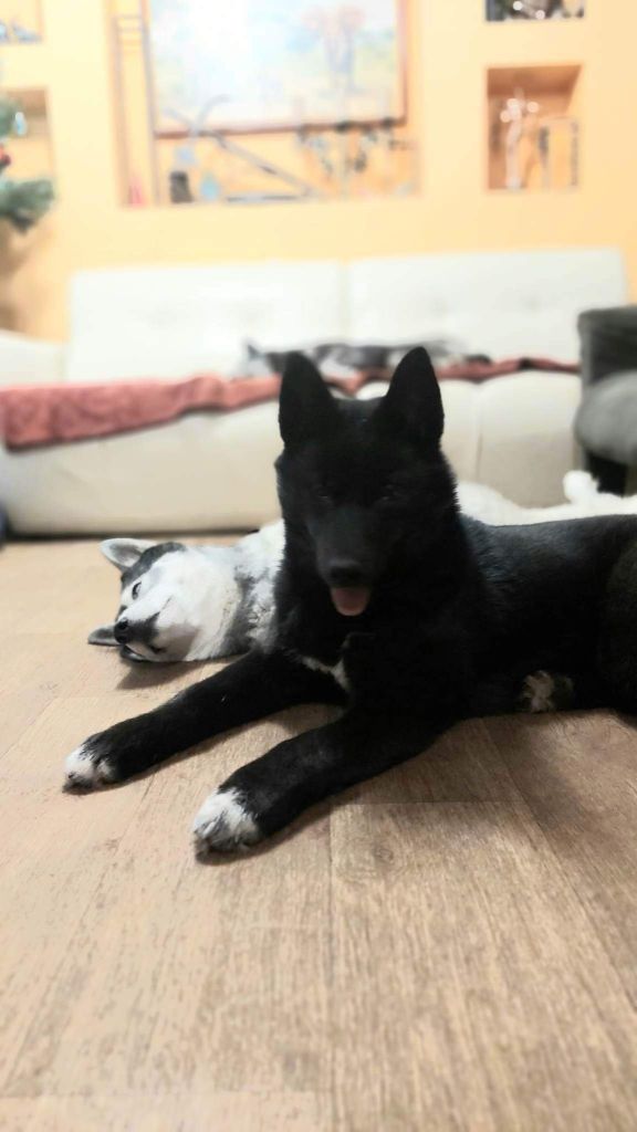 Publication : Of Legendary's Reborn