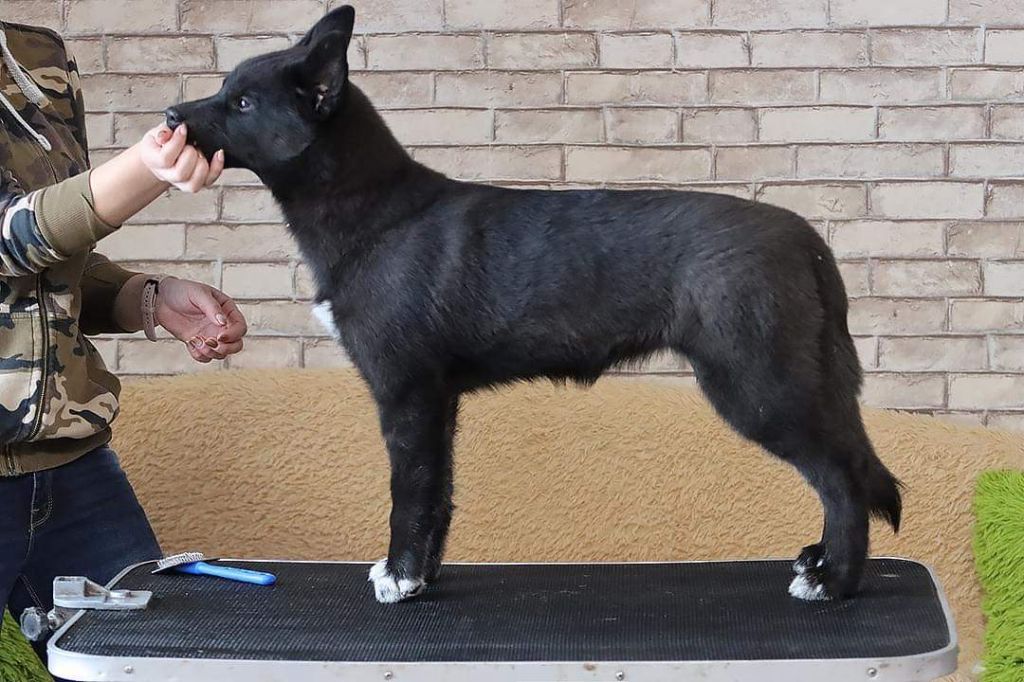 Publication : Of Legendary's Reborn