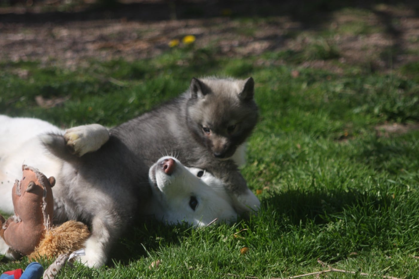 Brunhild - Be Revenge of Rumors