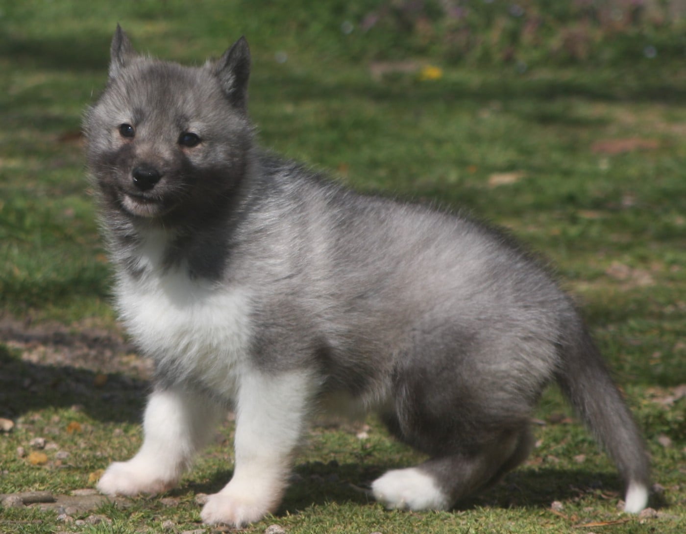 Brunhild - Be Revenge of Rumors