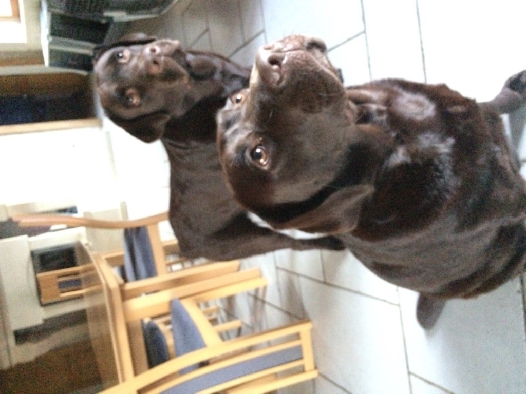 Publication : Des Monts D'Arcadie