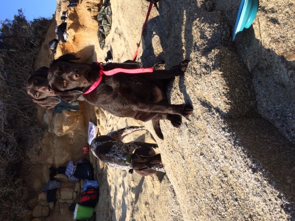 Publication : Des Monts D'Arcadie