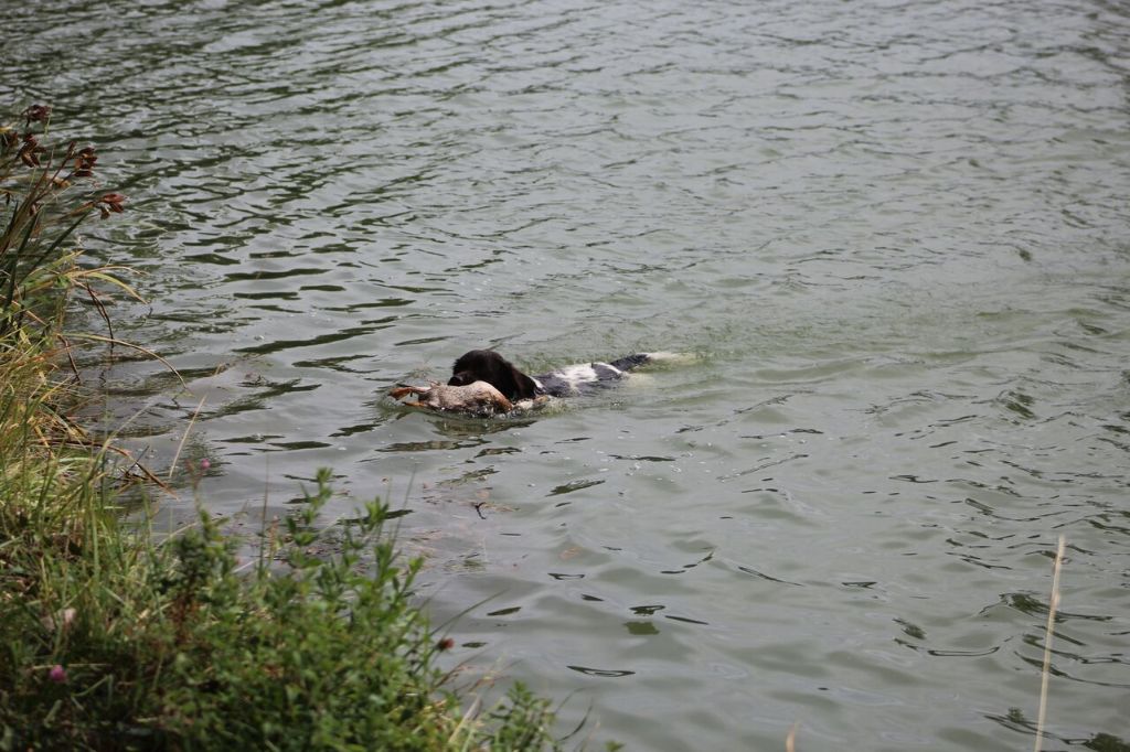 Métisse du port de Chambord