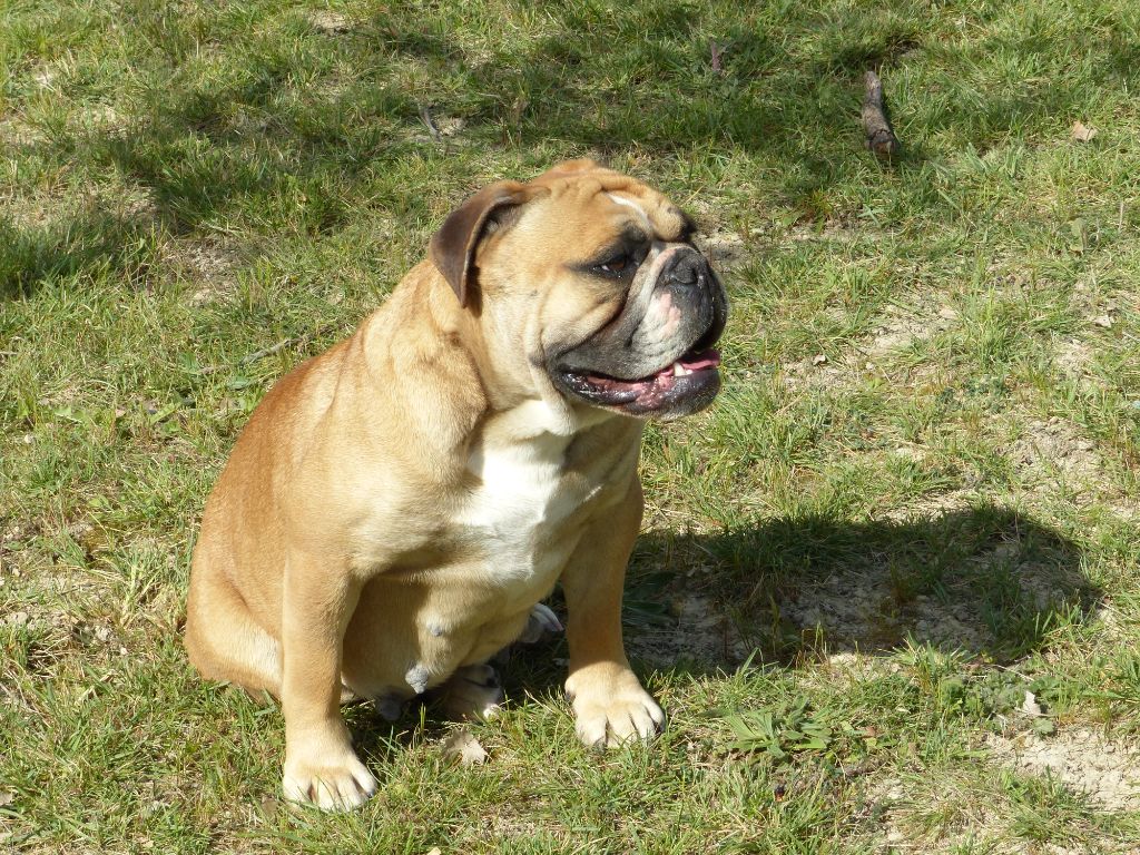 Oxane (Sans Affixe)