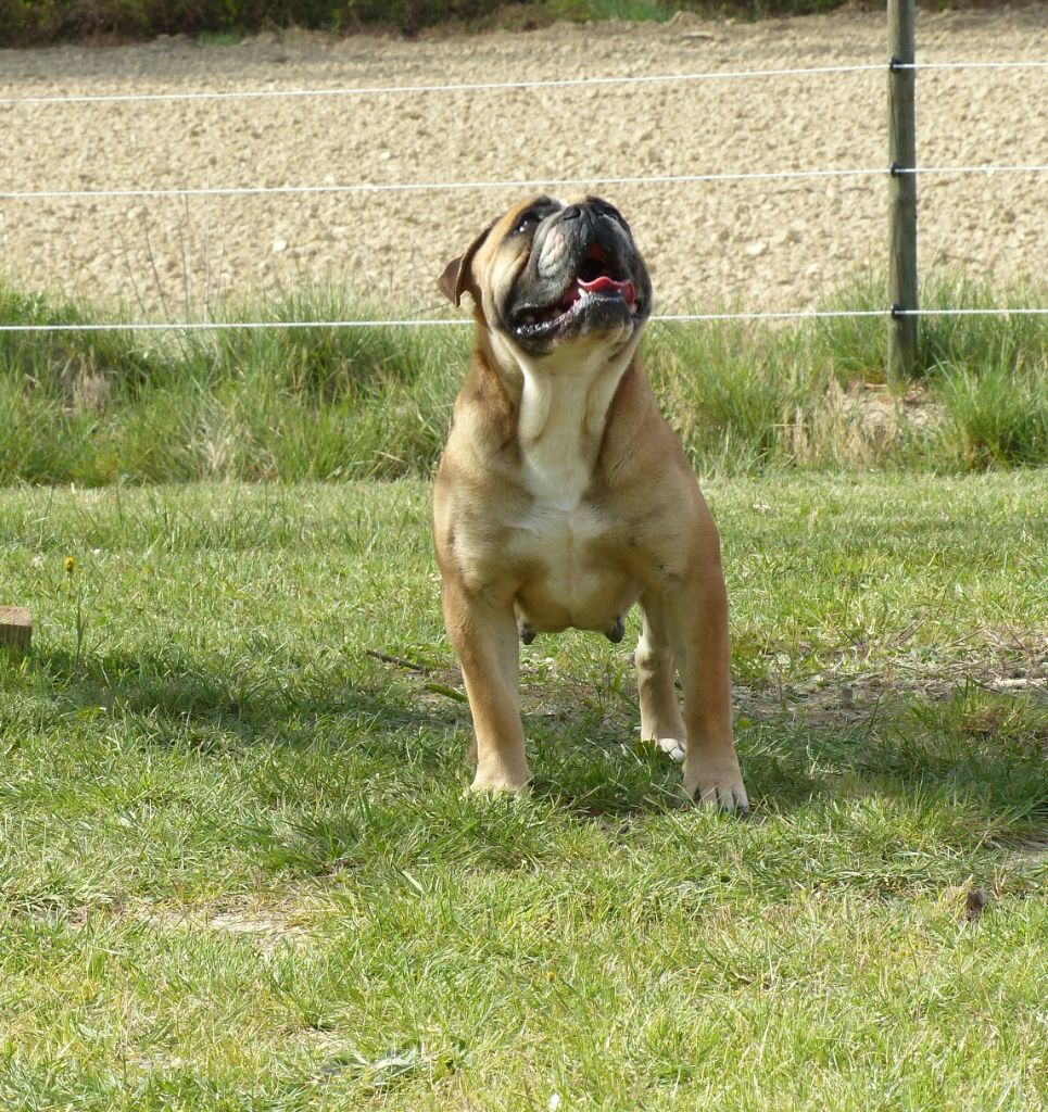 Oxane (Sans Affixe)