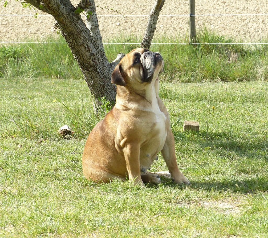 Oxane (Sans Affixe)