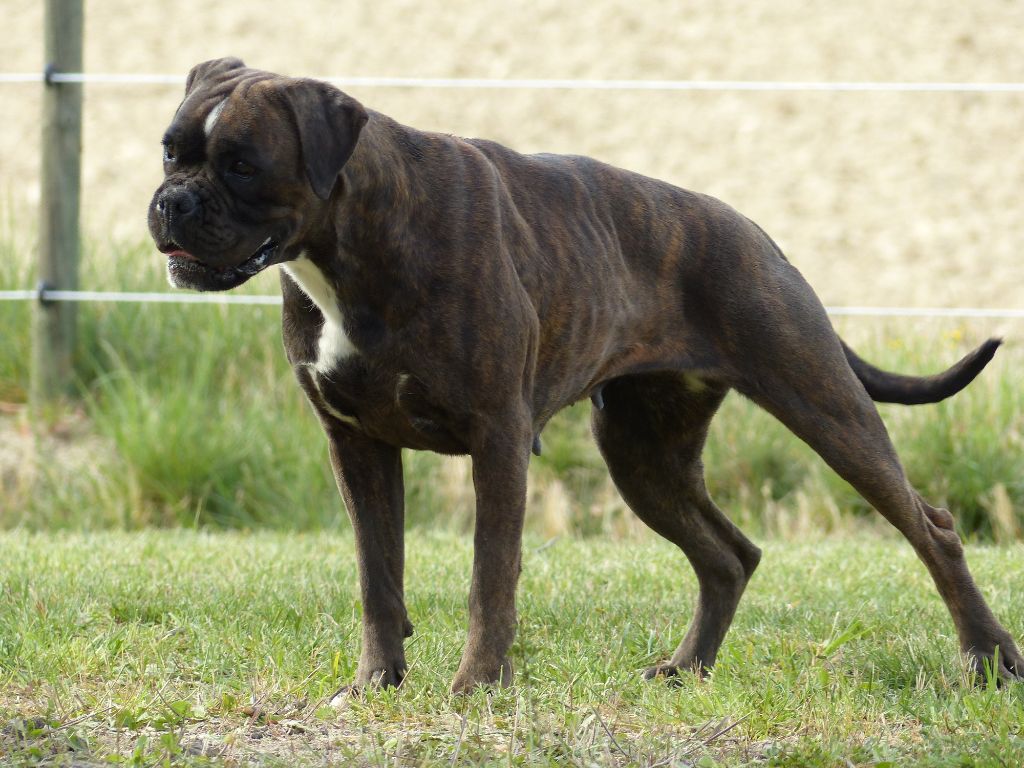 Orka du rocher le puits d enfer