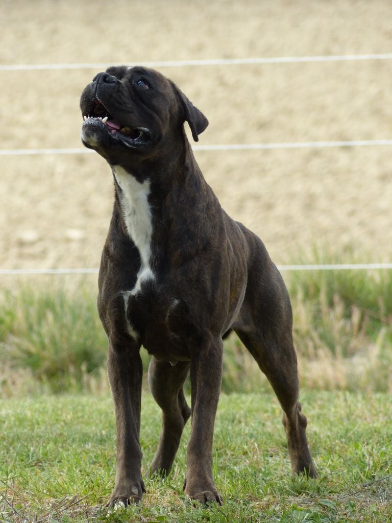 Orka du rocher le puits d enfer