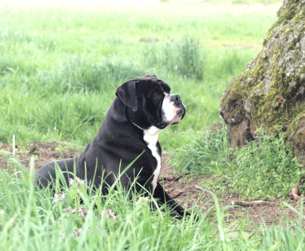 Toby Des Belles Truffes