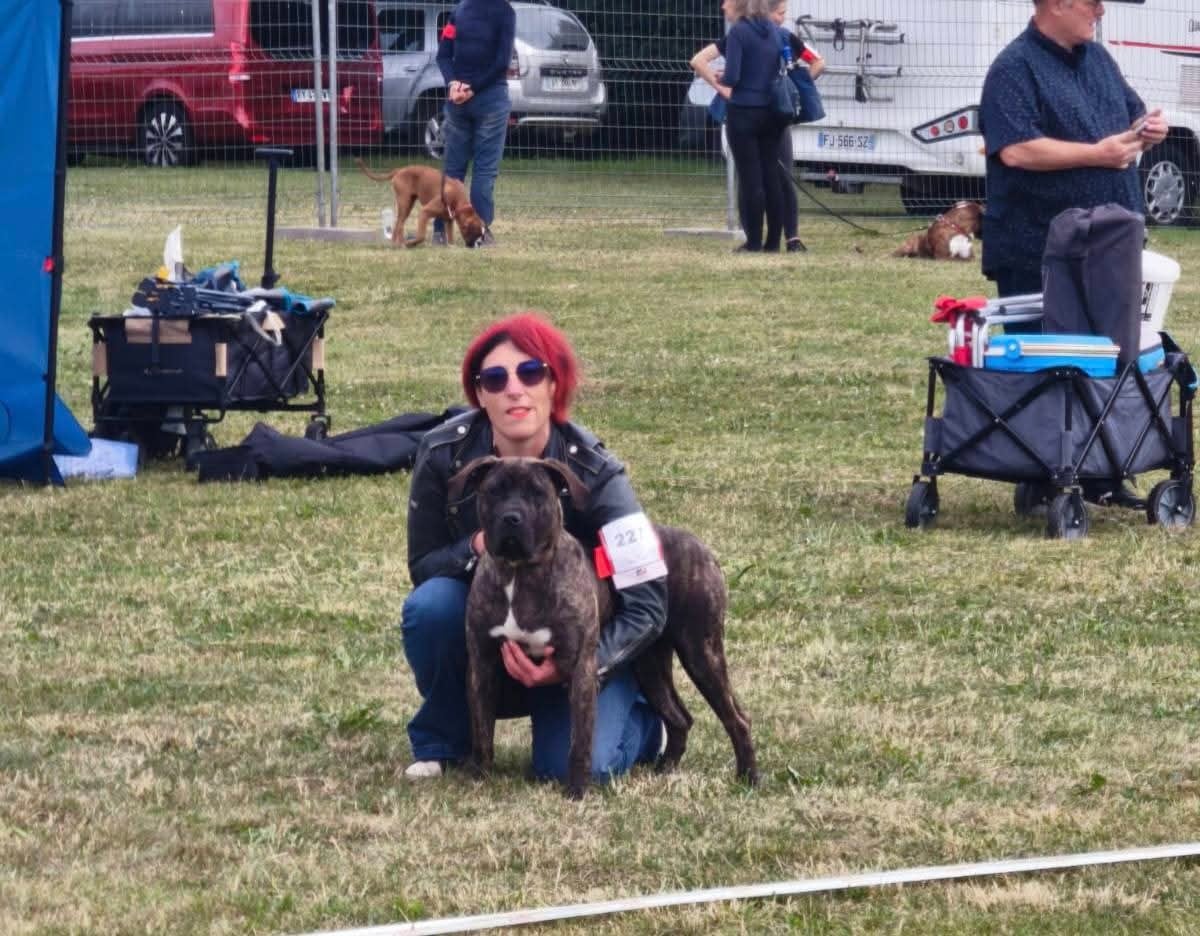 Vados Los Nobles Del Norte