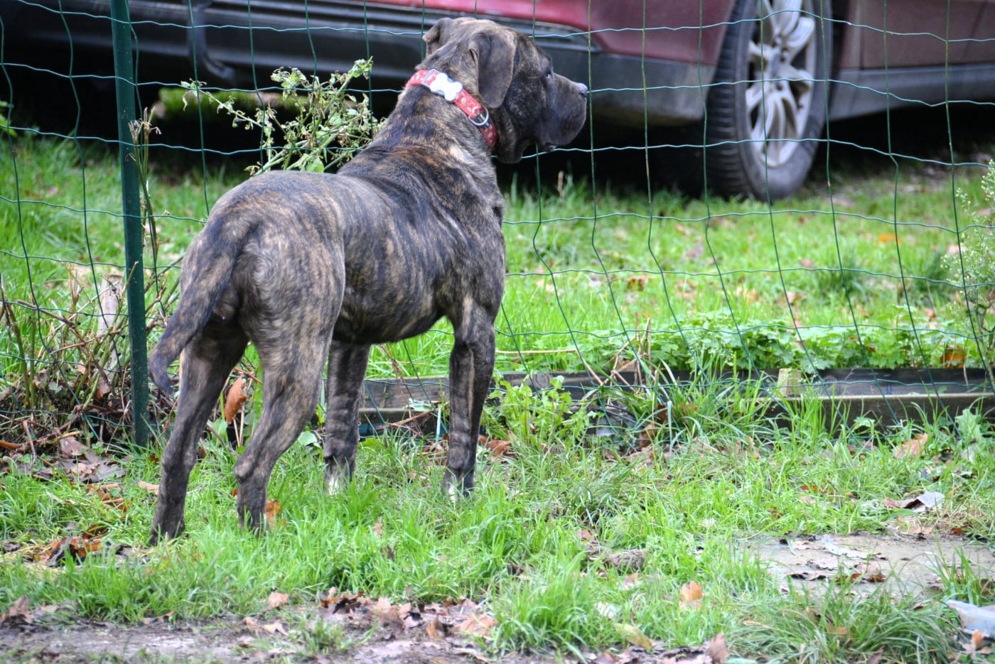 Vados Los Nobles Del Norte