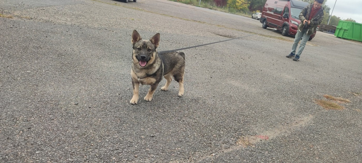 Publication : Los Nobles Del Norte