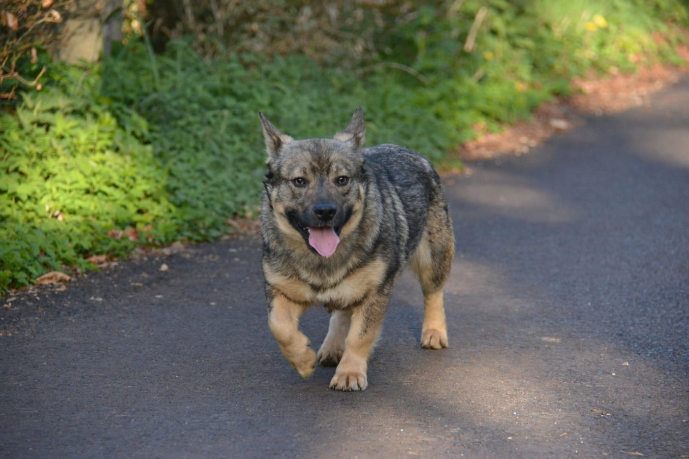 Publication : Los Nobles Del Norte