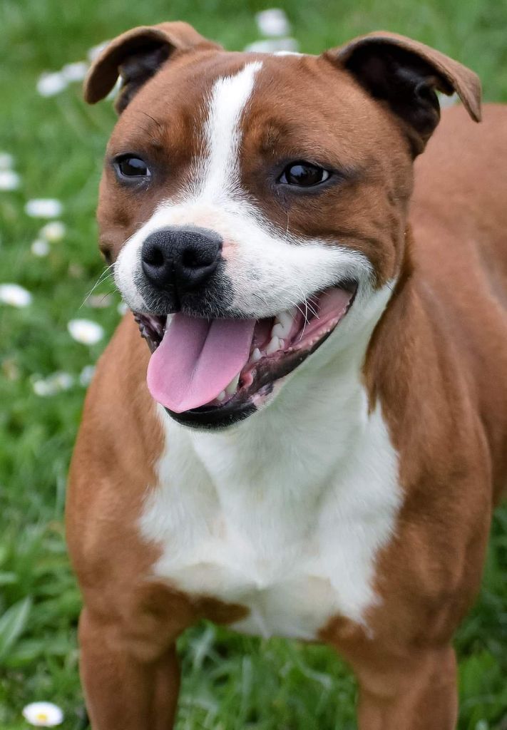 Publication : Killy'rena Auteur : Killy'Rena