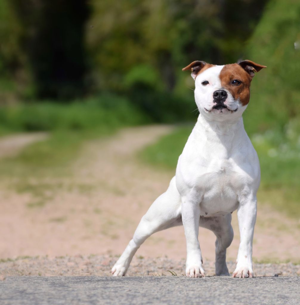 Publication : Killy'rena Auteur : Killy'Rena