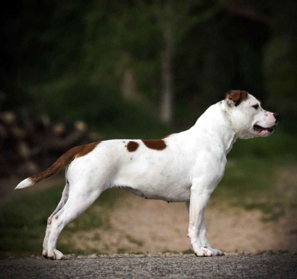 Publication : Killy'rena Auteur : Killy'Rena