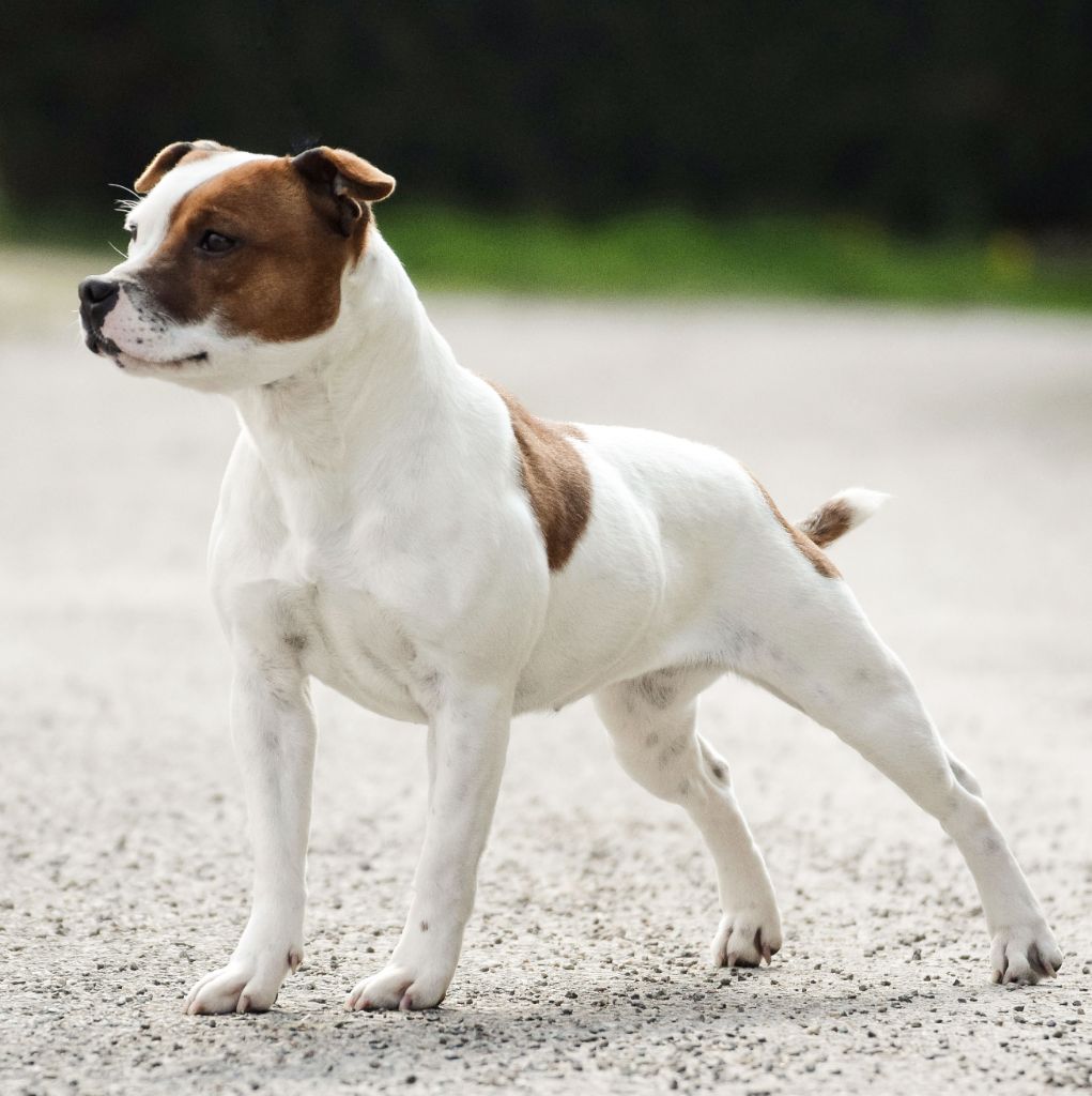 Publication : Killy'rena Auteur : Killy'Rena