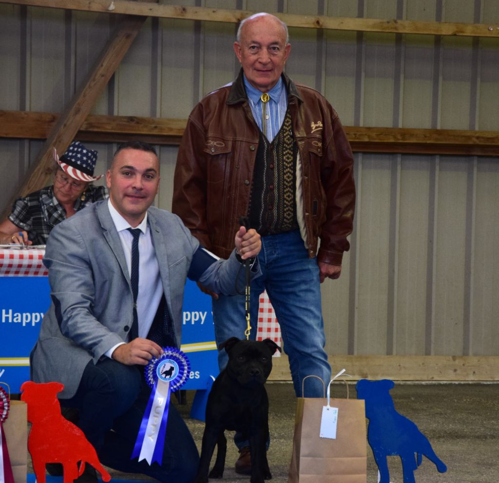 Spartans Devotion Panthéon pride - 2èm Très Prometteur en Classe Puppy