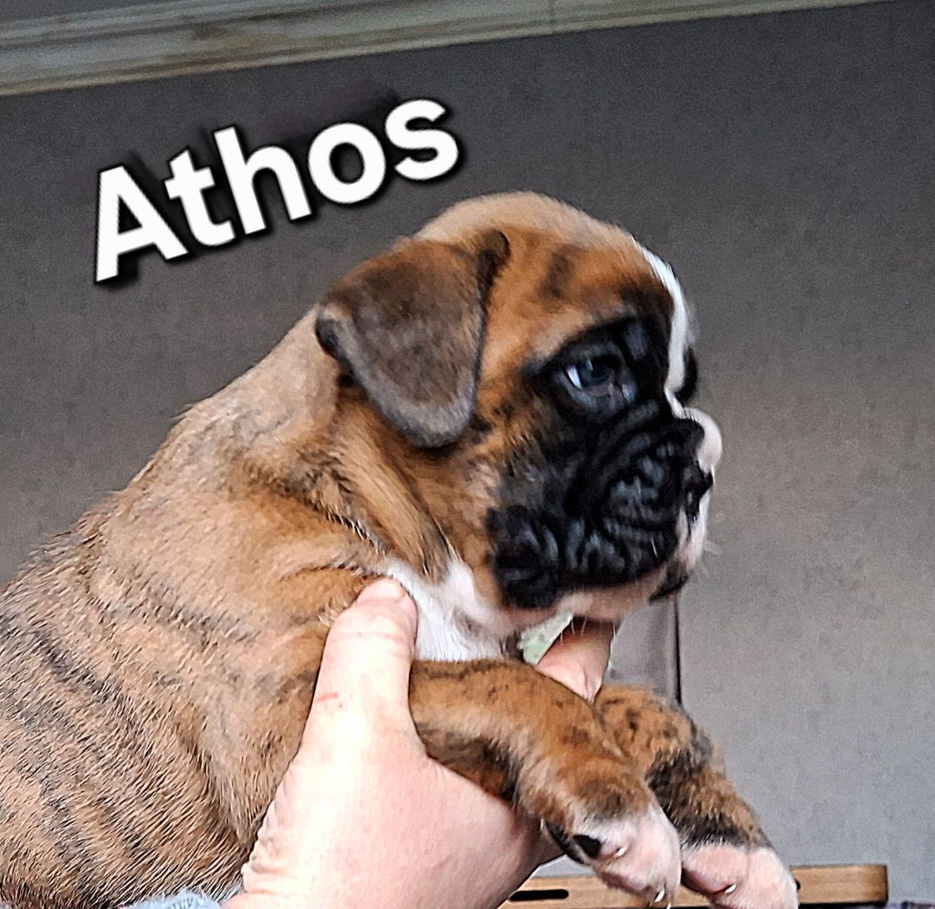 Athos