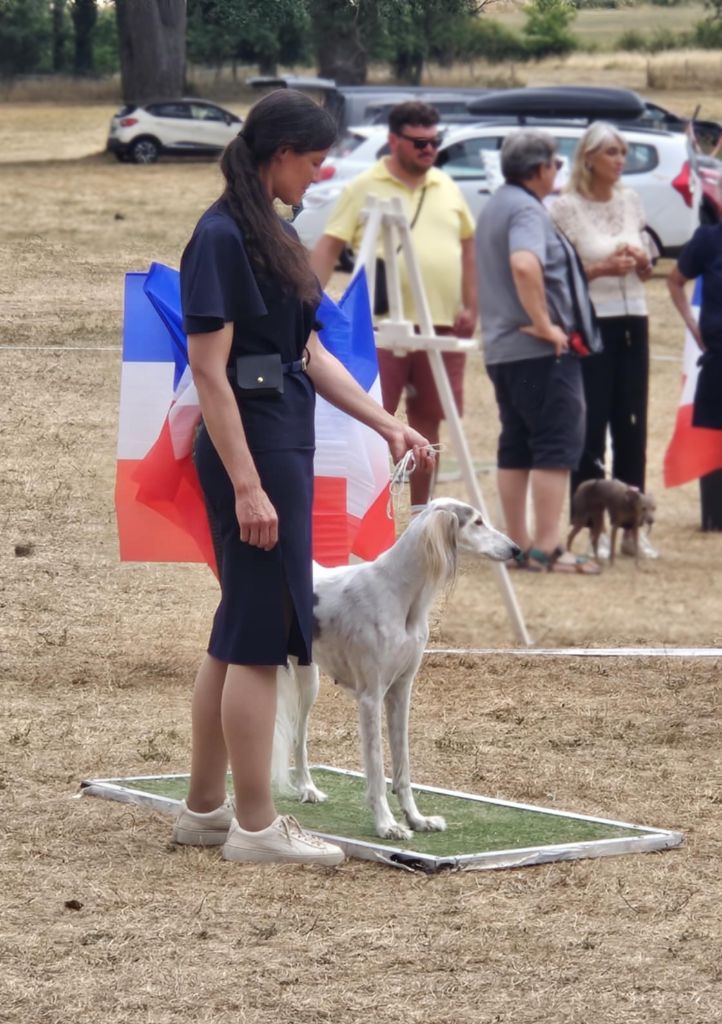 CH. Phaeema bint sahab Al Assli - 3e EXC