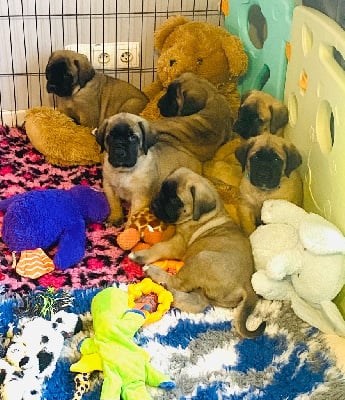 Des Terres De Peygros