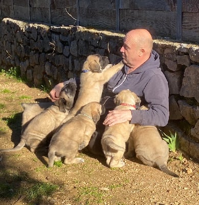 Des Terres De Peygros