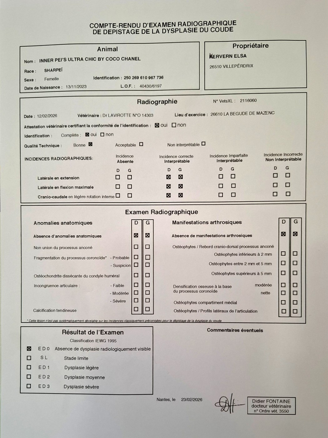 Inner Pei’s Ultra chic by coco chanel