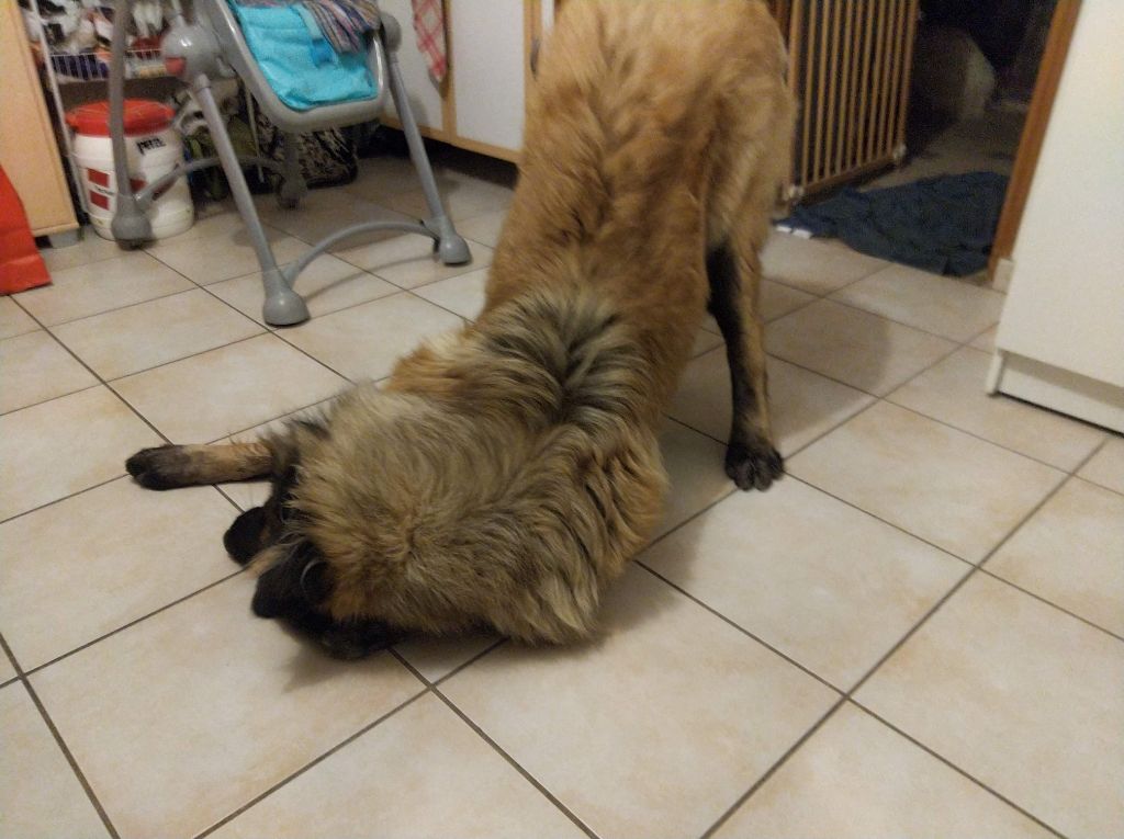 Publication : (Sans Affixe) Auteur : de la Vallée du Douro