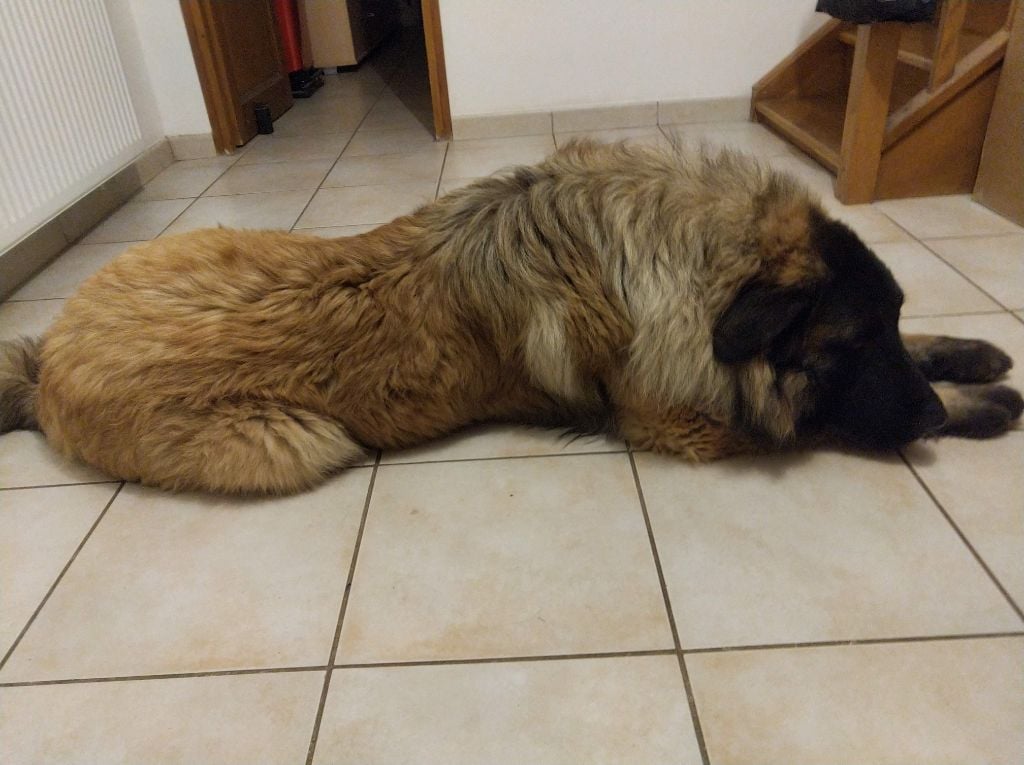 Publication : (Sans Affixe) Auteur : de la Vallée du Douro