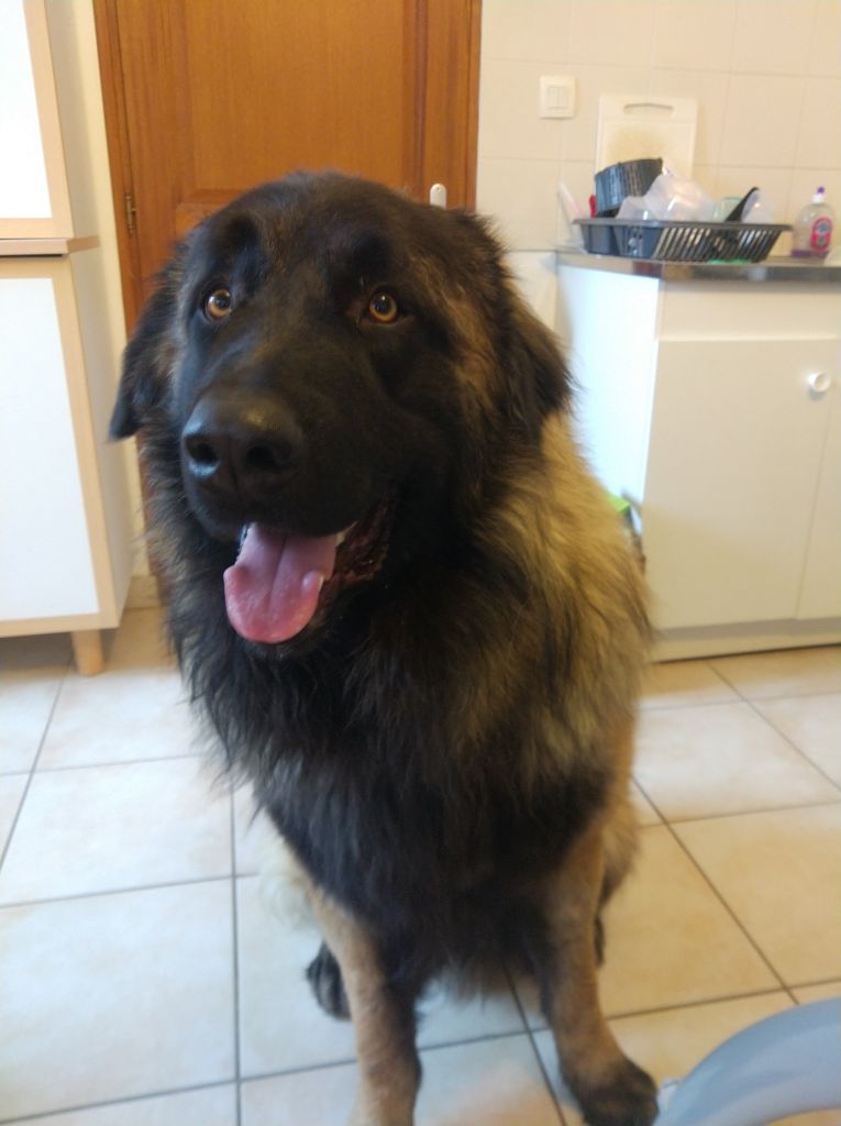 Publication : (Sans Affixe) Auteur : de la Vallée du Douro