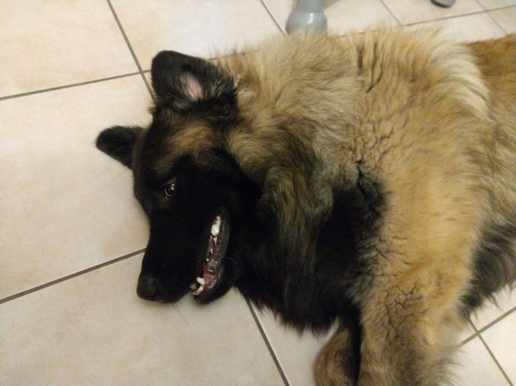 Publication : (Sans Affixe) Auteur : de la Vallée du Douro