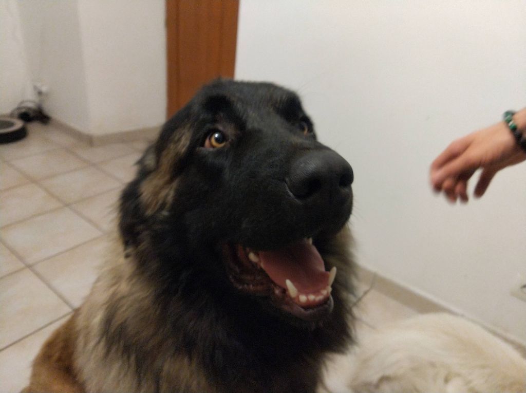 Publication : (Sans Affixe) Auteur : de la Vallée du Douro