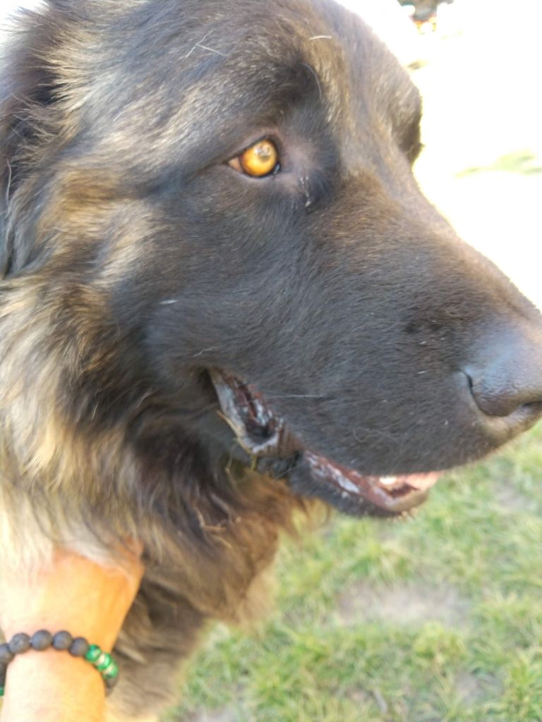 Publication : (Sans Affixe) Auteur : de la Vallée du Douro