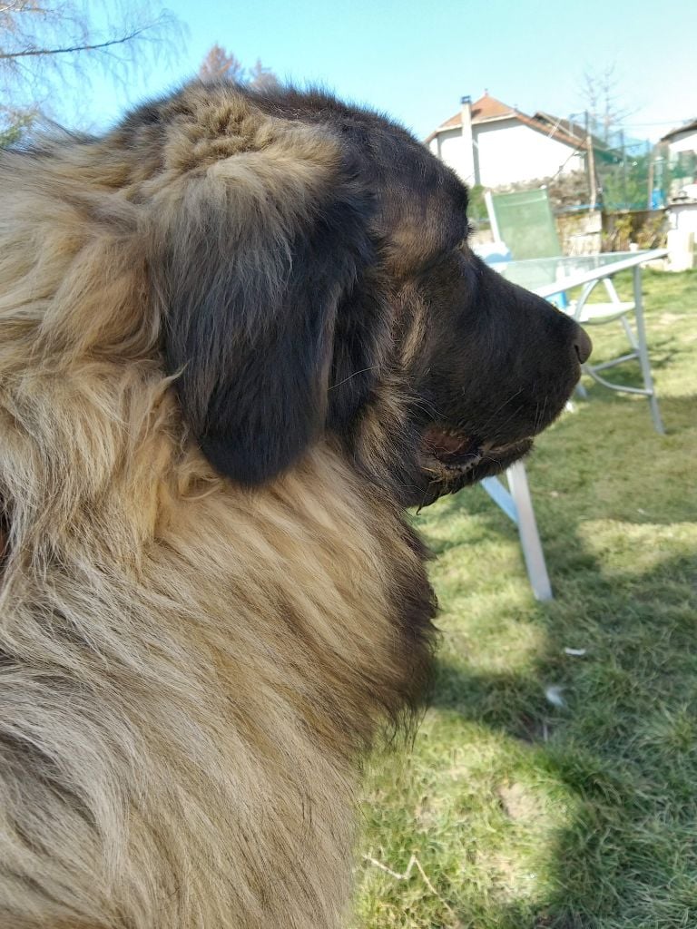 Publication : (Sans Affixe) Auteur : de la Vallée du Douro