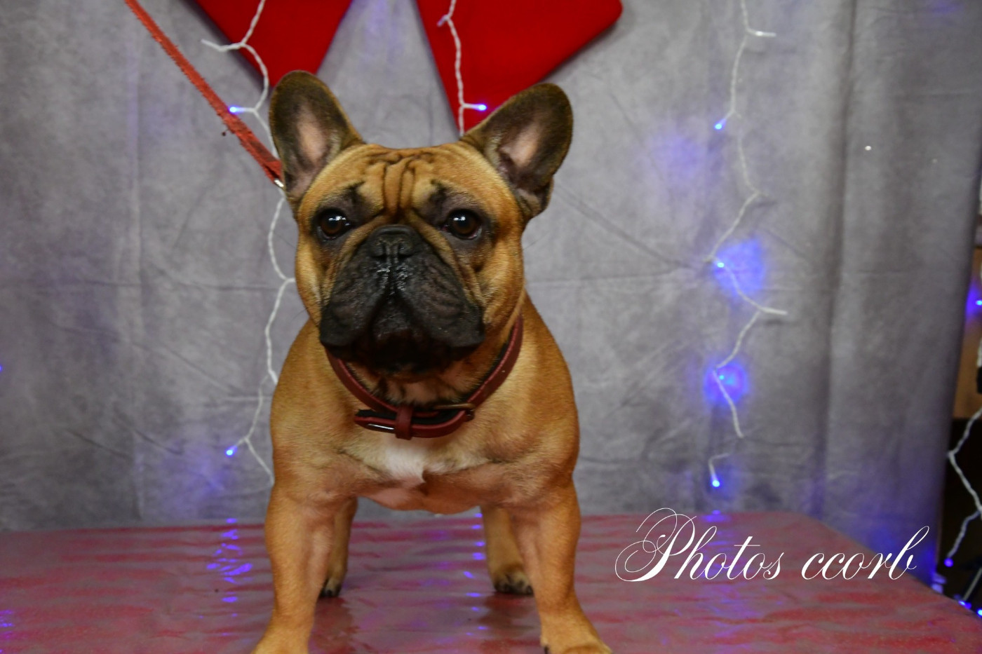 Publication : (Sans Affixe) Auteur : Jp pillet