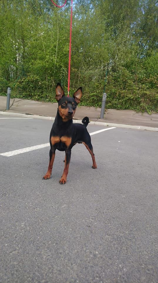 Publication : de la légende de la ville d'Ys