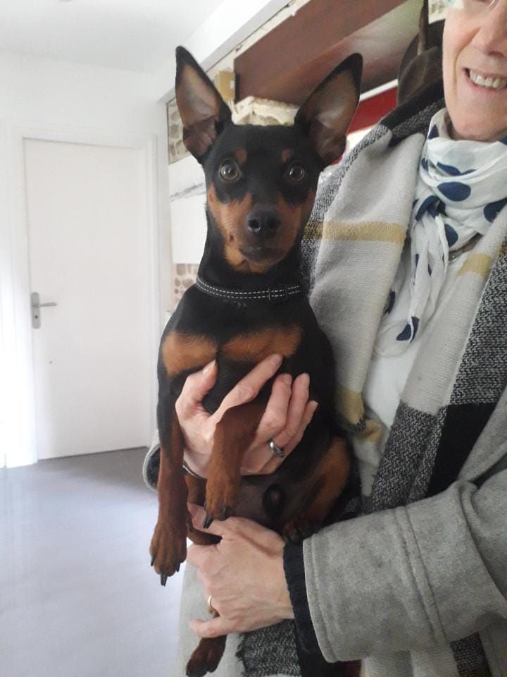 Publication : de la légende de la ville d'Ys