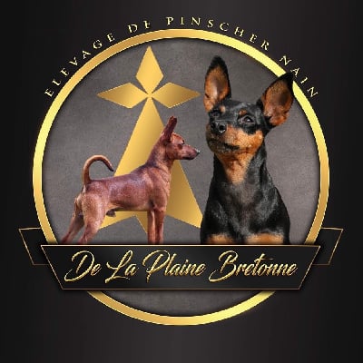 De La Plaine Bretonne